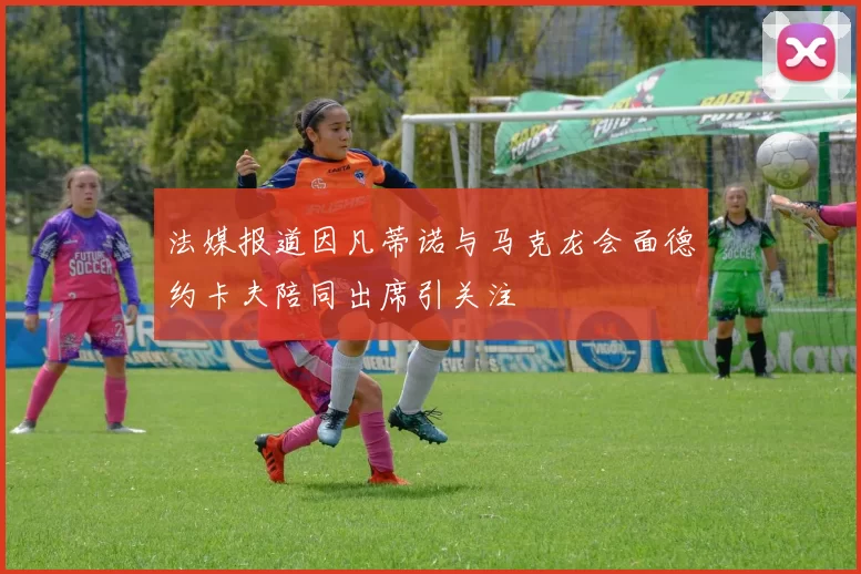 法媒报道因凡蒂诺与马克龙会面德约卡夫陪同出席引关注