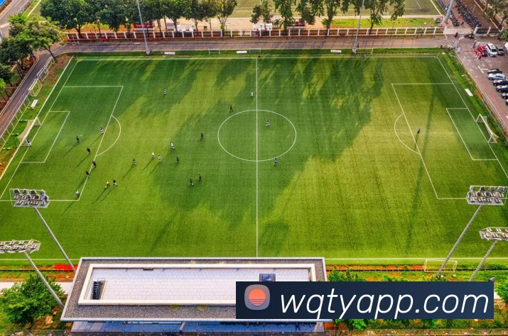 玩球体育APP平台生态图